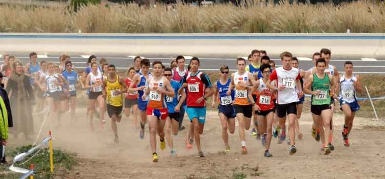 Championnat régional de cross FFA à St Laurent