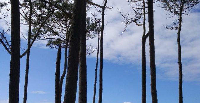 Triathlon d’Arcachon